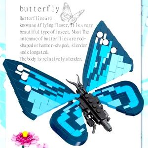 Butterfly 🦋 Insect Series Bug Collection